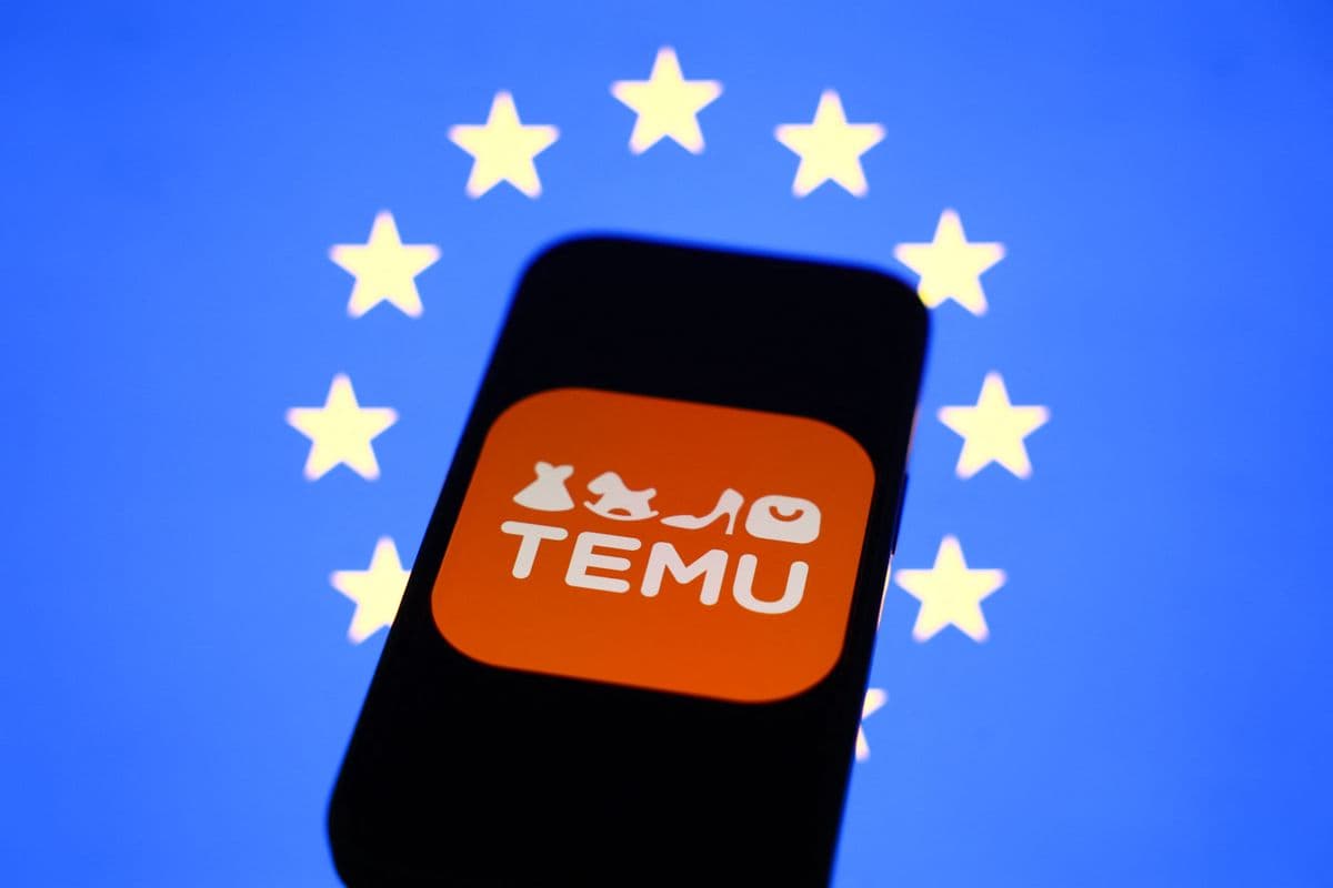 A Temu alkalmazás használata és a vásárlói élmény alakulása